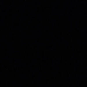 Meet your Posher, Trinh